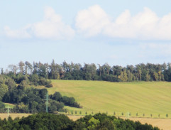 Honza málem králem