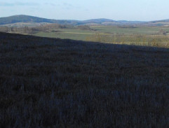 Honza málem králem