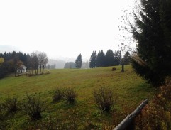 Listonoš nese Hanči rekomando