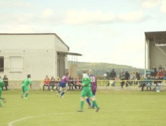 Houslice hrají venku