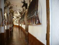 Kapitán Tronda volá posily