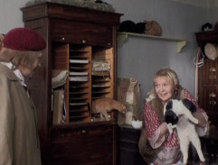 Ve spolku pro ochranu zvířat