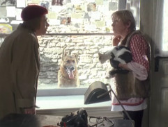 Ve spolku pro ochranu zvířat II