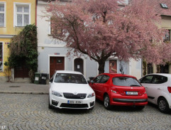 Pan Divoký na ulici