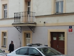 Blázni a děvčátka