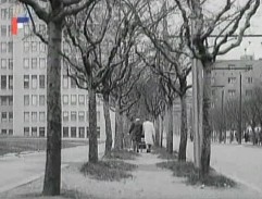 Každý týden sedm dní