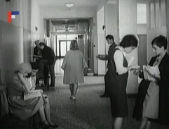 Každý týden sedm dní