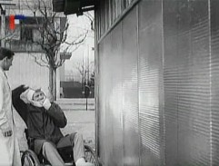 Každý týden sedm dní