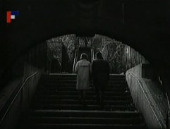 Každý týden sedm dní