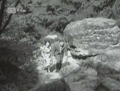 Prachovské skály 1