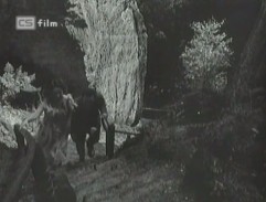 Prachovské skály 2