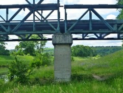 Slavnost v botanické zahradě