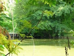 Slavnost v botanické zahradě