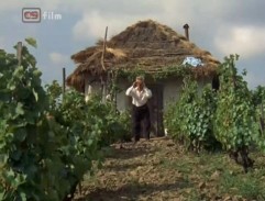 Slavnost v botanické zahradě