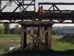 Slavnost v botanické zahradě