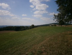 Perrier LaPadite seká dřevo