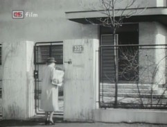 Advokátka Bavorová