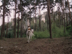 skaly pri perníkovej chalúpke