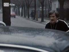 pri Nezirovom dome 2