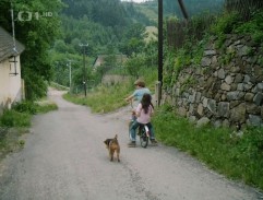 Hospodářská hlídka