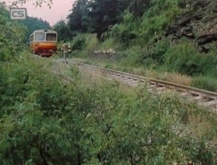 Bloudění orientačního běžce