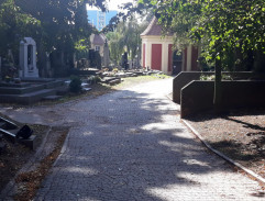 Bloudění orientačního běžce