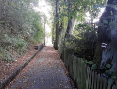 Bloudění orientačního běžce