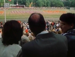 Bloudění orientačního běžce