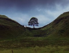 Souboj s Sheriffovým bratrancem