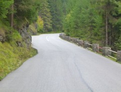 Píseň o šedém holubovi