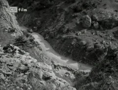 Píseň o šedém holubovi