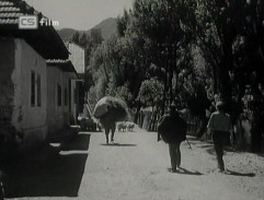 Třikrát svítá ráno