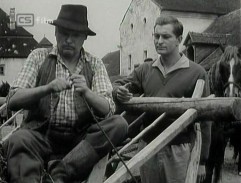 Třikrát svítá ráno