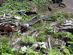 Úkryt na pobřeží