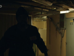 chodba vo výbehu tigrov