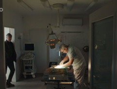 operačný sál veterinárnej kliniky