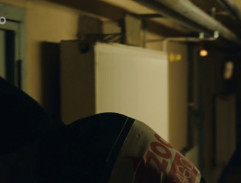 na chodbe výbehu tigrov