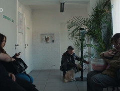 čakáreň veterinárnej kliniky