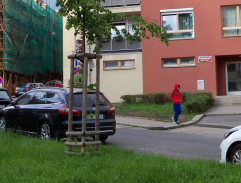 na ceste do fitness centra