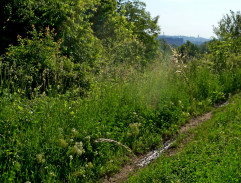 nelegálna motorkárska dráha