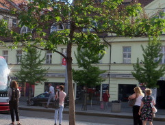 pred redakciou novín