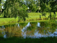 rybník v zámockom parku