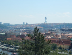 S01E08 Staré vraždy