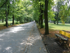 S04E02 Bláznivá smrt