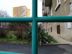 pred Bláhovej domom 2