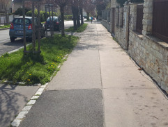 pred Brunerovou vilou