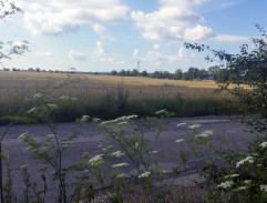 miesto nálezu Patra Vašáka