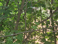 S03E12 Tajné pohřby