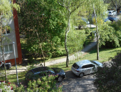 S05E10 Příběh ze zoo