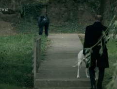 mostík v zámockom parku